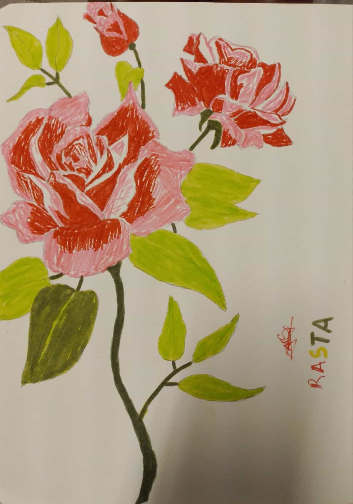 Dessin d'une fleur qui illustre l'espoir des mineurs isolés à leur arrivée sur le sol Européen.